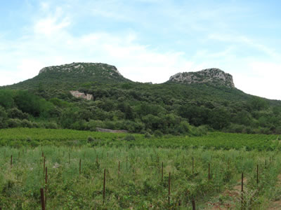 Gourgas Monoblet Cvennes Gard